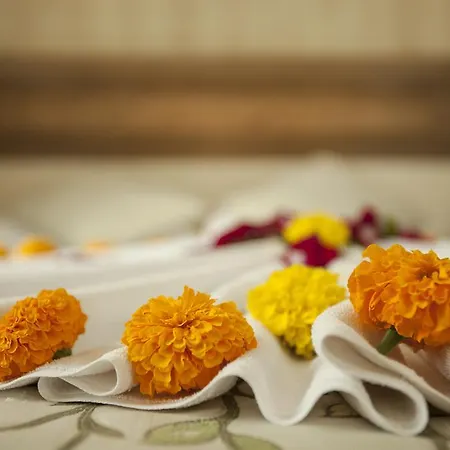 Armas אתר נופש